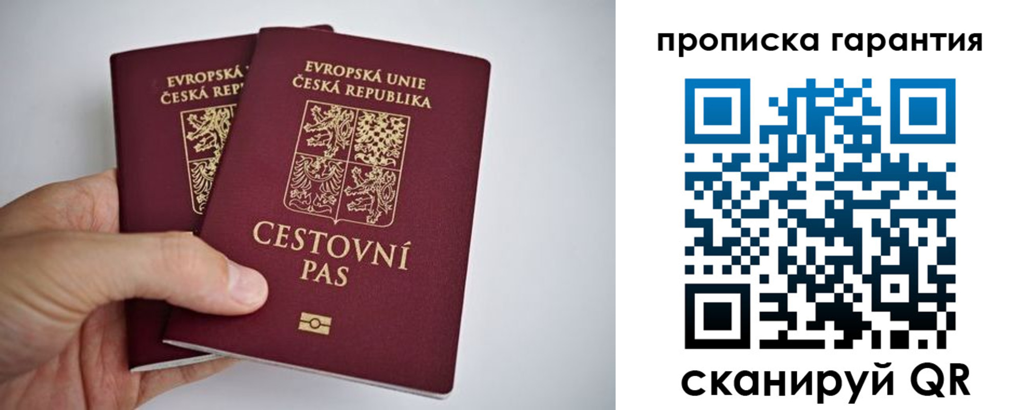 прописка в Димитровграде
